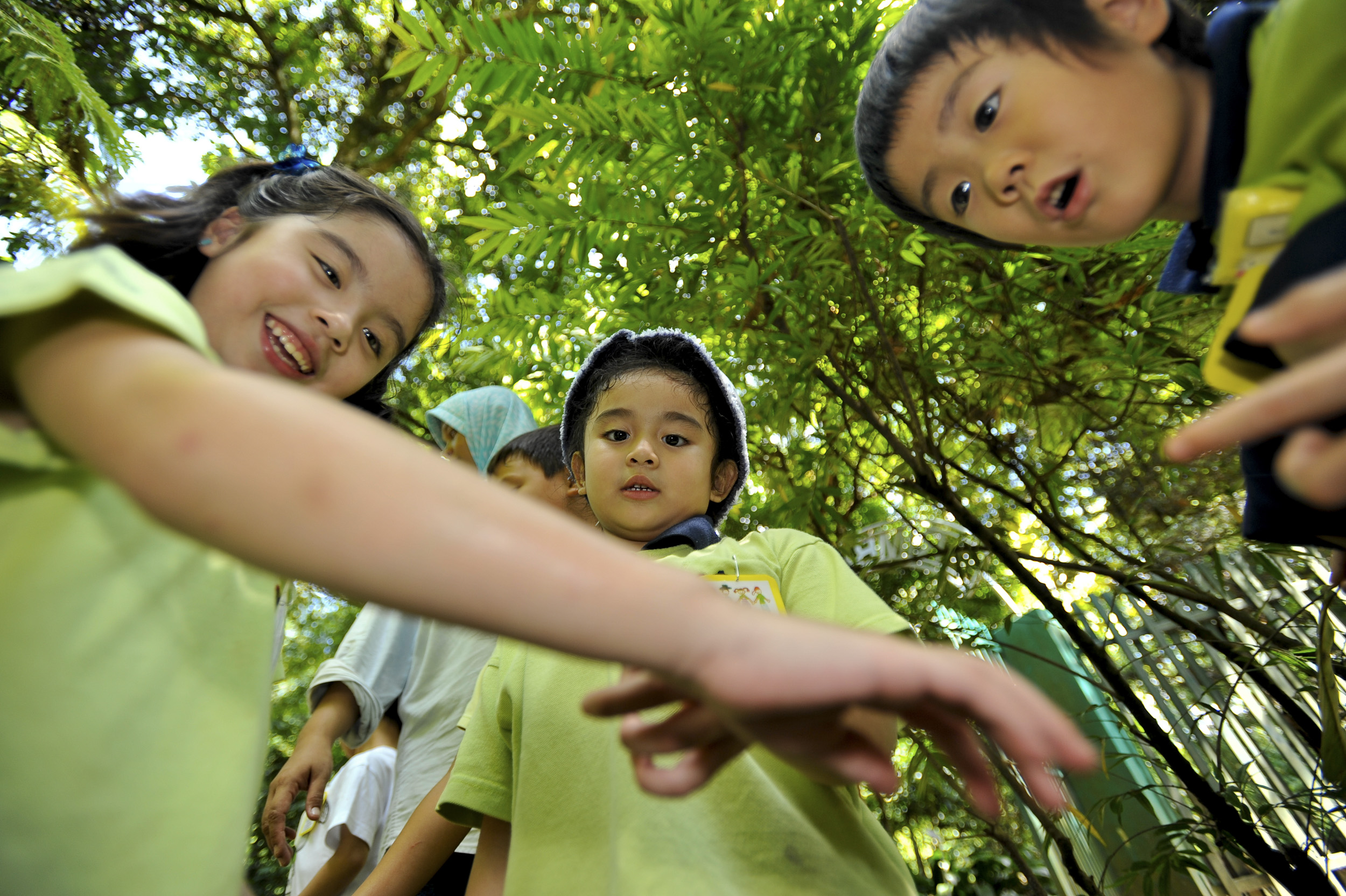 rimba – Children's Discovery House